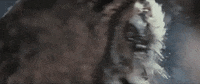 Music Video Rock GIF by Asking Alexandria