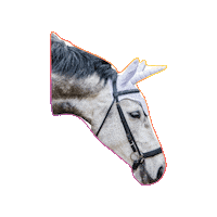 Lietjesmarket horse unicorn lietjesmarket Sticker