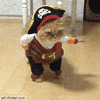 pirate GIF