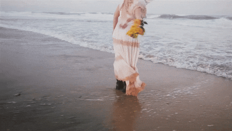 North Carolina Beach GIF by MaRynn Taylor
