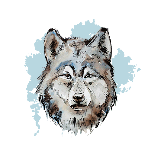 Wolf Pack Sticker by Shop Dixi