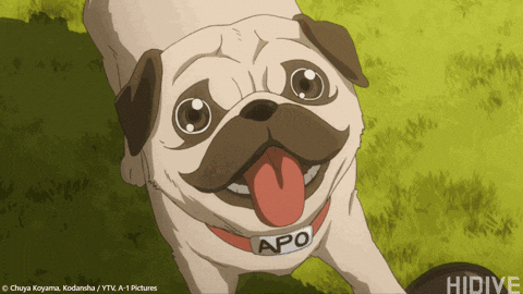 Space Brothers Pug GIF by HIDIVE