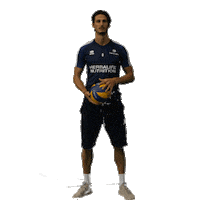 Volleyball Volley Sticker by EuroVolley2019Fr