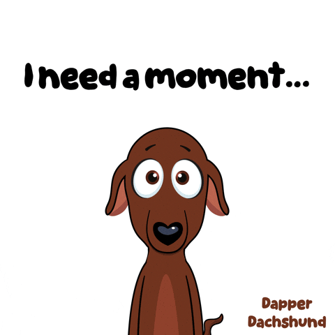 Dog Omg GIF by VeeFriends