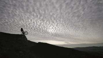 builder GIF by EchoBoom Sports