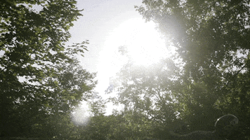 builder GIF by EchoBoom Sports