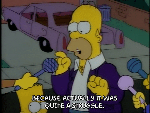 Season 1 Episode 13 GIF by The Simpsons