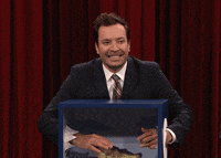 Jimmy Fallon Omg GIF by The Tonight Show Starring Jimmy Fallon