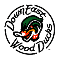 Sticker by Down East Wood Ducks