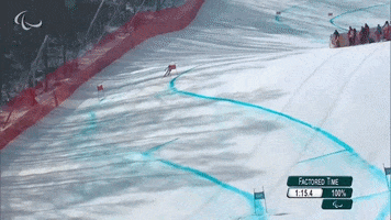 Paralympic Games Ski GIF by International Paralympic Committee