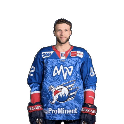 Hayden Shaw Sticker by Adler Mannheim
