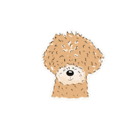 Doodle Labradoodle Sticker by Winkeltjevanbeer