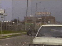 Vintage Vhs GIF by jorgemariozuleta