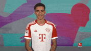 Fc Bayern Celebration GIF by Bundesliga
