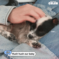 Hush Hush Puppy