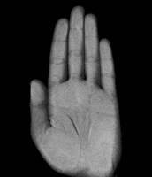 animation matthias brown GIF by TraceLoops