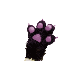 Paw Hello Sticker by GIPHY CAM