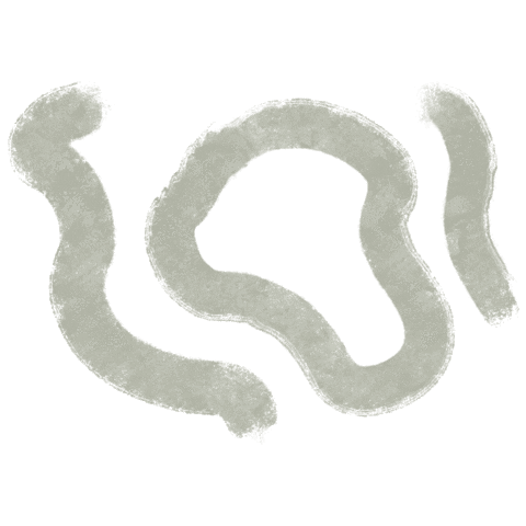 Cactus Phula Sticker by Nat Fleitas