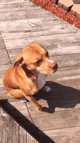 GrabYoursTODAY giphygifmaker GIF