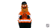 Philadelphia Flyers Thumbs Down GIF by NHL