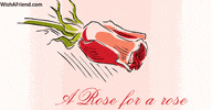 Blooming Pure Love GIF by wishafriend
