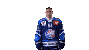 Azevedo Sticker by ZSC Lions