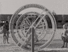 Summer Beach GIF by BrabantinBeelden