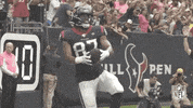 Houston Texans Football GIF by NFL