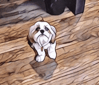 prisma video GIF by Product Hunt