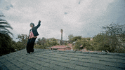 Los Angeles La GIF by St. Panther