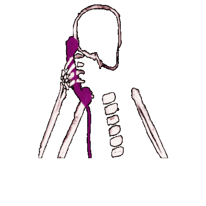 Call Me Later Long Neck Sticker