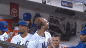 Pumped Up Mlb GIF by SNY