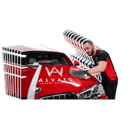 Car Carwash Sticker by Alvato Luxury Detailing