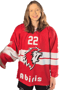 Celebration Goal Sticker by HCFL