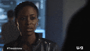 Usa Network Television GIF by Treadstone