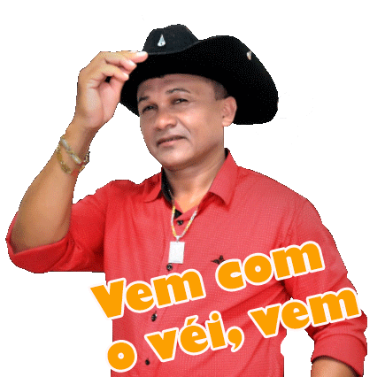 Veidapisadinha Sticker by Luxebr