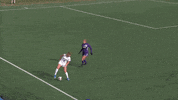 Soccer GIF by Hofstra Pride