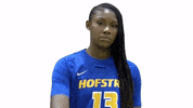 Basketball GIF by Hofstra Pride