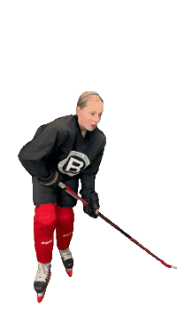 Hockey Sticker by ledoritulys.lt