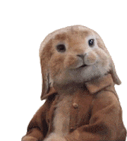 Look Bunny Sticker by Peter Rabbit Movie