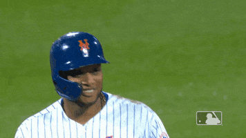 ny mets smile GIF by New York Mets