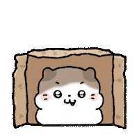 coconyangofficial 고양이 conyang 코코냥 코냥이 Sticker