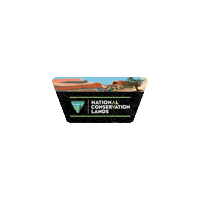 Blm Protect Sticker by Conservation Lands Foundation