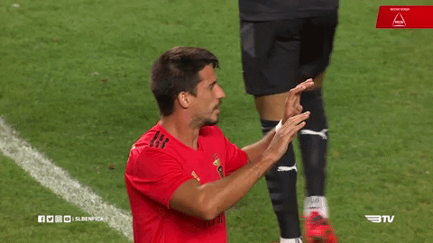 Sl Benfica Hug GIF by Sport Lisboa e Benfica