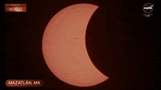 Solar Eclipse GIF by NASA