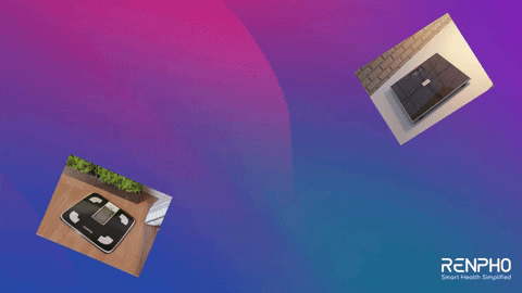 Fitness 3D GIF by RENPHO