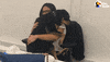 Dog GIF by The Dodo