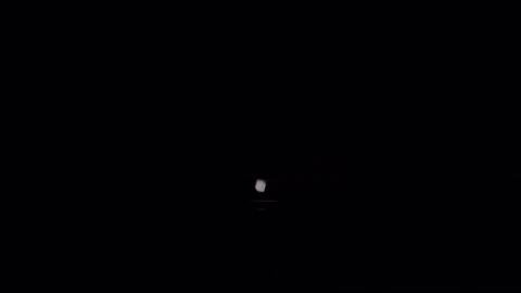 Bsp GIF by BlankSquareproductions