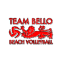 Sport Play Sticker by Aurora Beach Volleyball