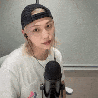 Stray Kids Skz GIF